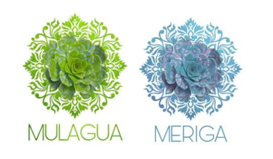 Meriga Agulo المظهر الخارجي الصورة